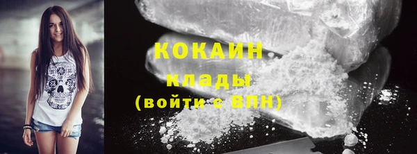 индика Богданович