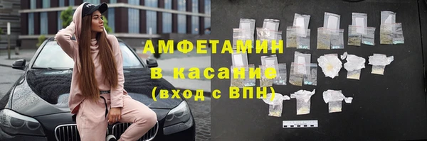 индика Богданович