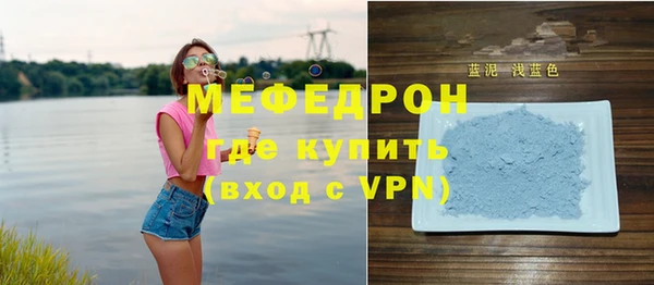 индика Богданович