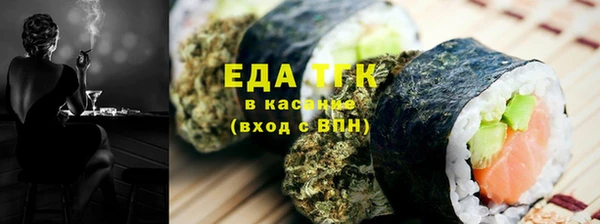 индика Богданович