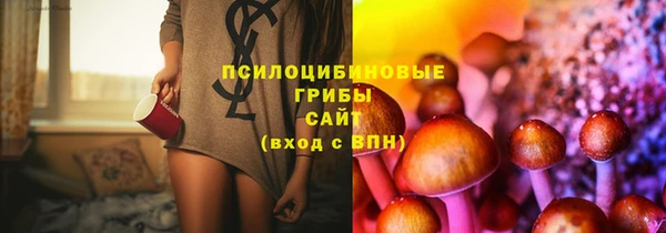 МДМА Богородицк
