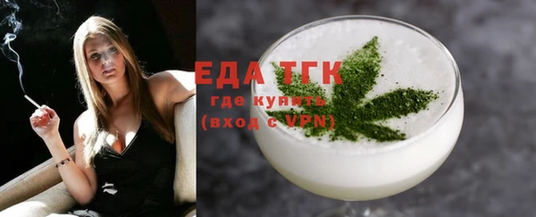 индика Богданович