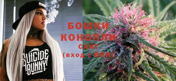 молекула духа Бронницы