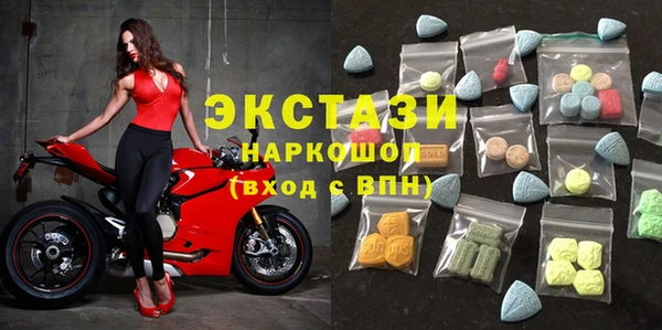 ECSTASY Ельня