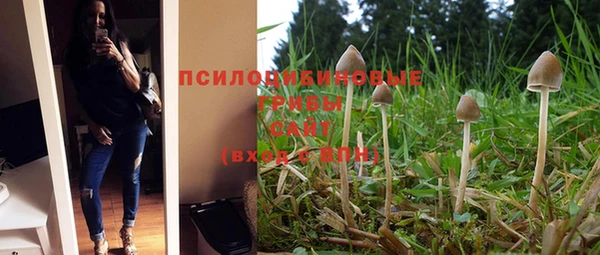 ALPHA PVP Бородино