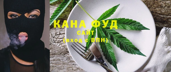 индика Богданович