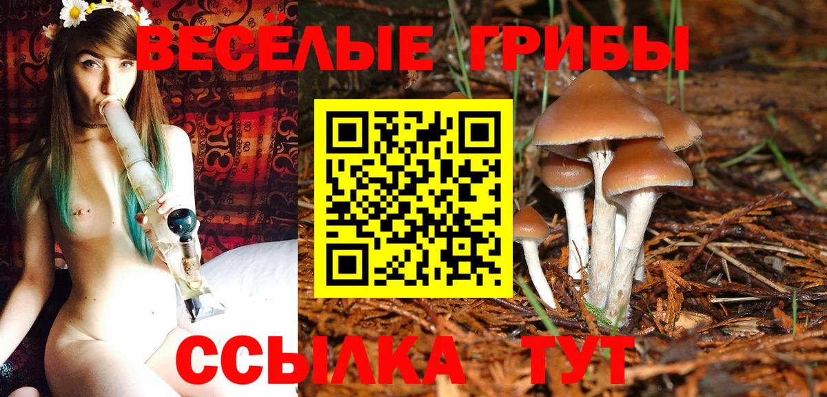 Воркута  Псилоцибиновые грибы Psilocybine cubensis  Вход с VPN 